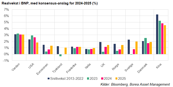 BNP-anslag