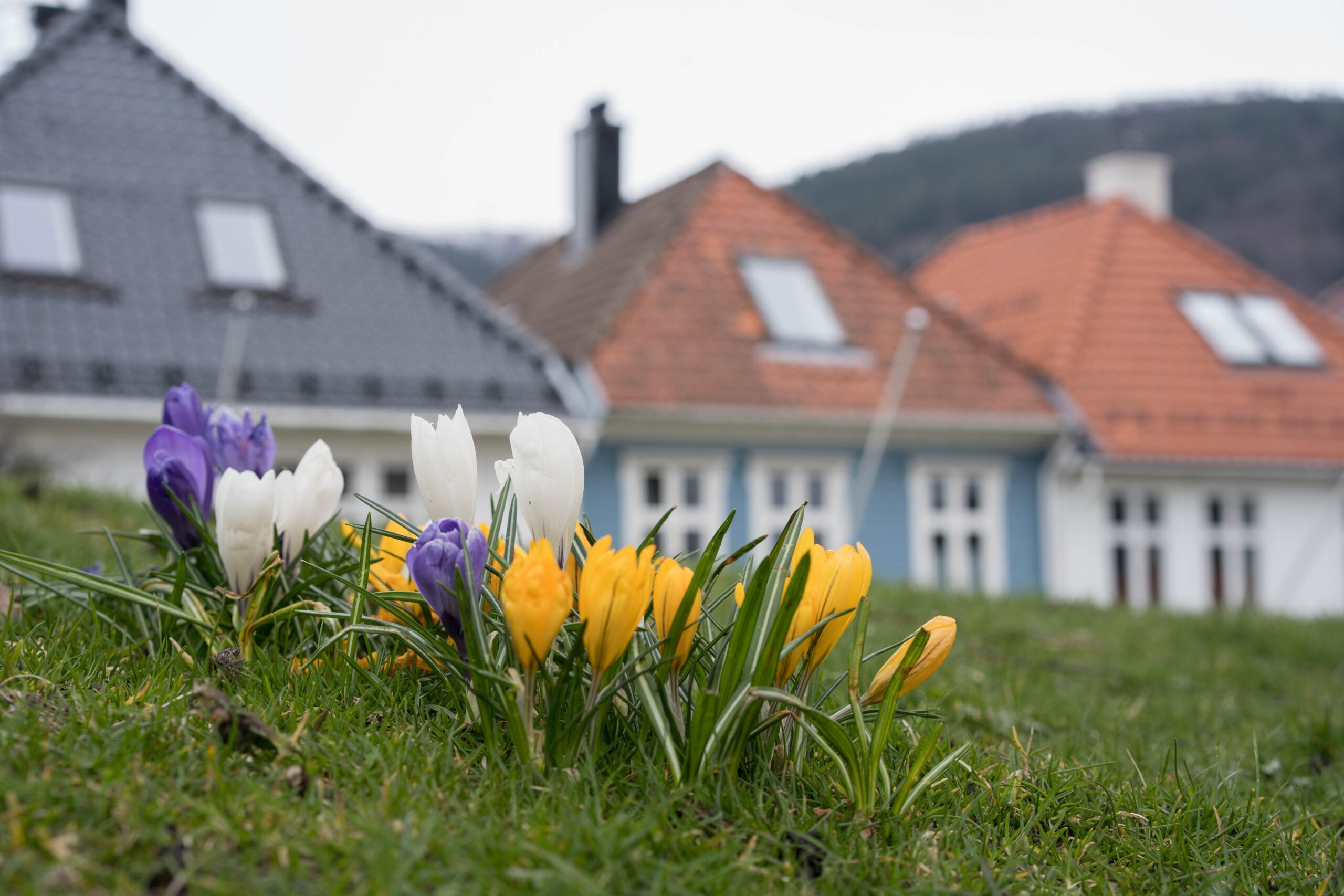 mars bergen
